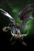 dcuwow1_ilidan_01[1].jpg